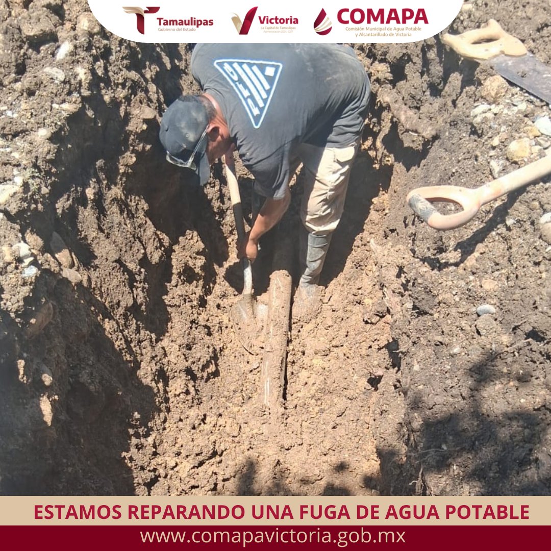 COMAPA Victoria tweet media