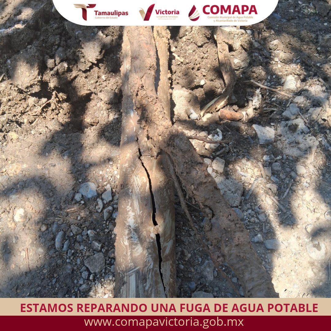 COMAPA Victoria tweet media