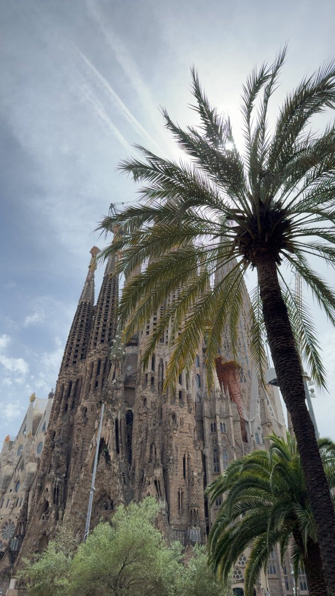 favuserr's tweet photo. barcelona baby https://t.co/Cux7z1x5iK