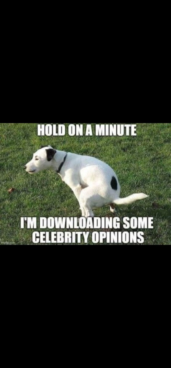 Briar tweet media