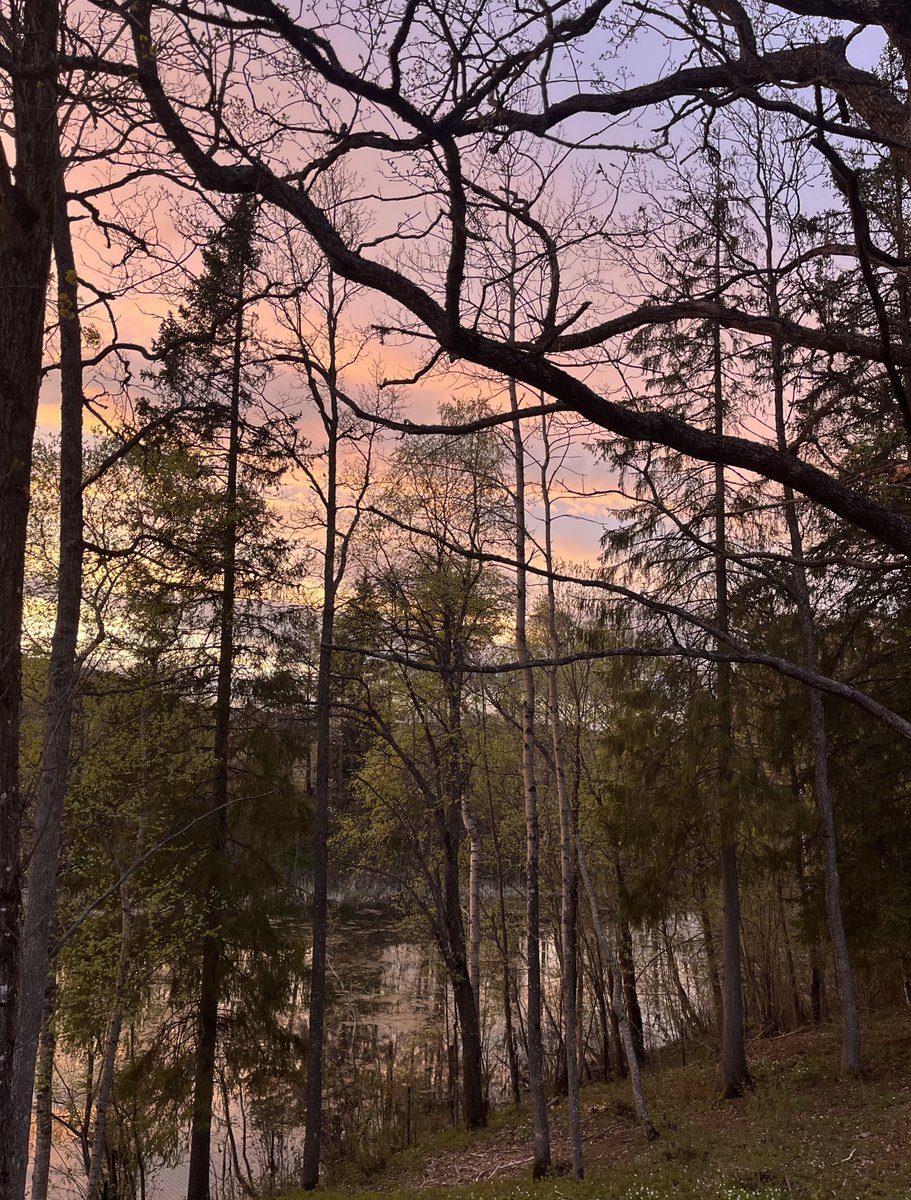 ShahidMAskerN's tweet image. Good evening friends 🩵🧡🌲
📷 Asker 
#Norway