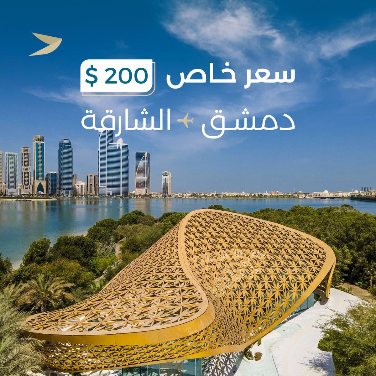 Fly Cham فلاي شام tweet media