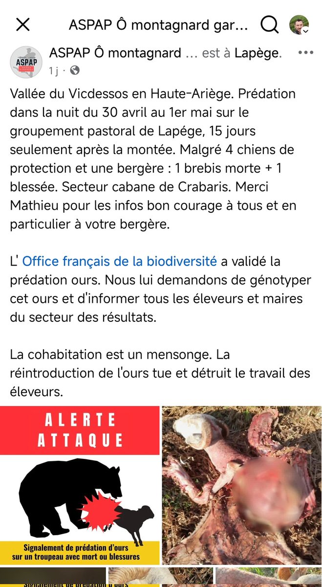 Cédric tweet media