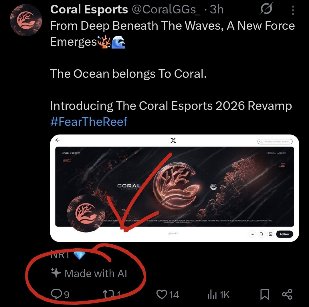 Caysz tweet media
