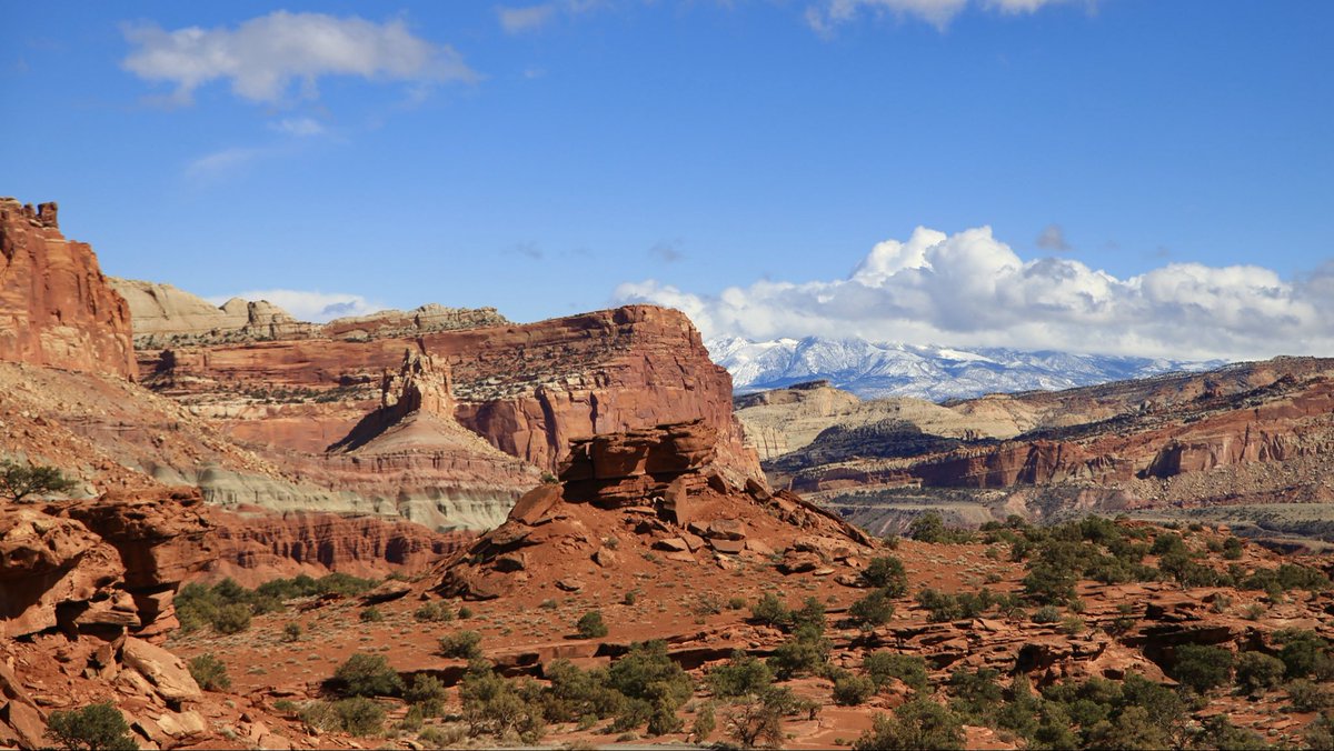 TheAmericanSouthwest🏜️ tweet media