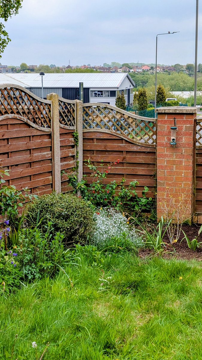 darty3003's tweet photo. The garden is waking up. https://t.co/BeNIc1cyZq