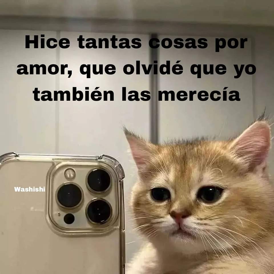 En Júpiter tweet media