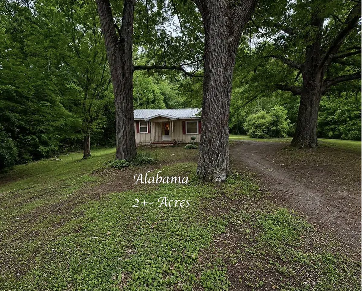 oldhouseunder50's tweet image. Peaceful 1960s #Alabama Retreat on Nearly 2 #Acres – $79K. oldhousesunder100k.com/peaceful-1960s…