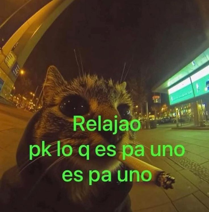 las mentalidad que quiero tener hasta el día de elección