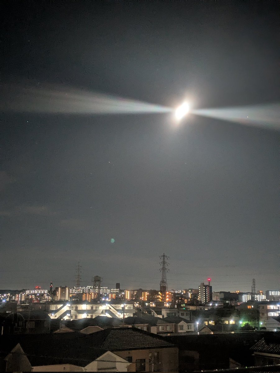 ホクト🍋 tweet media