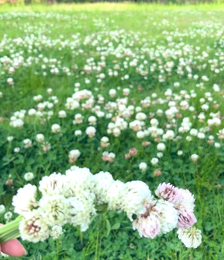 ly2k__'s tweet photo. 大自然に感極まって鬼の目にも涙 https://t.co/coUJd9isle