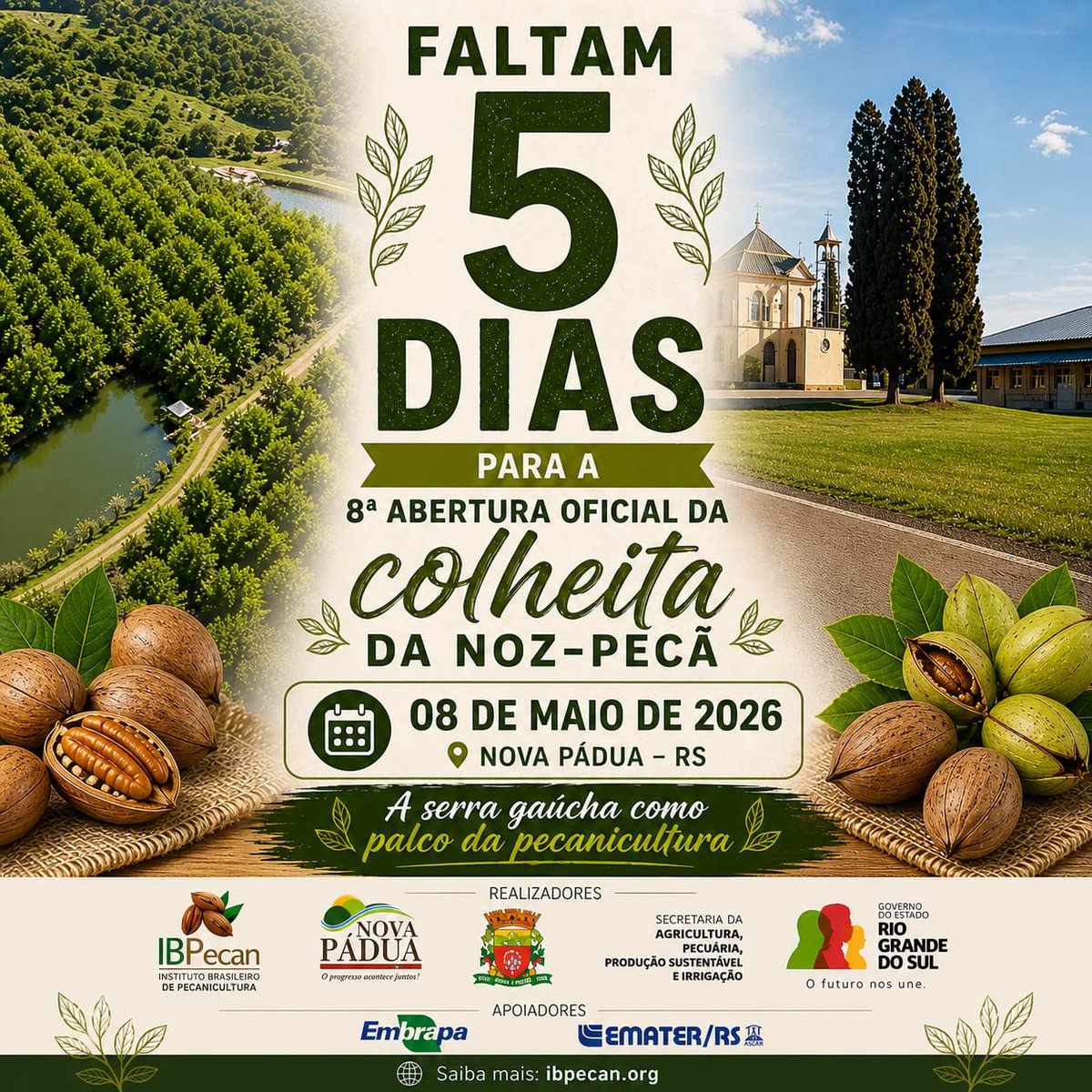 pecanicultura's tweet photo. https://t.co/xirJqqYV4o https://t.co/6h7qM25eOj