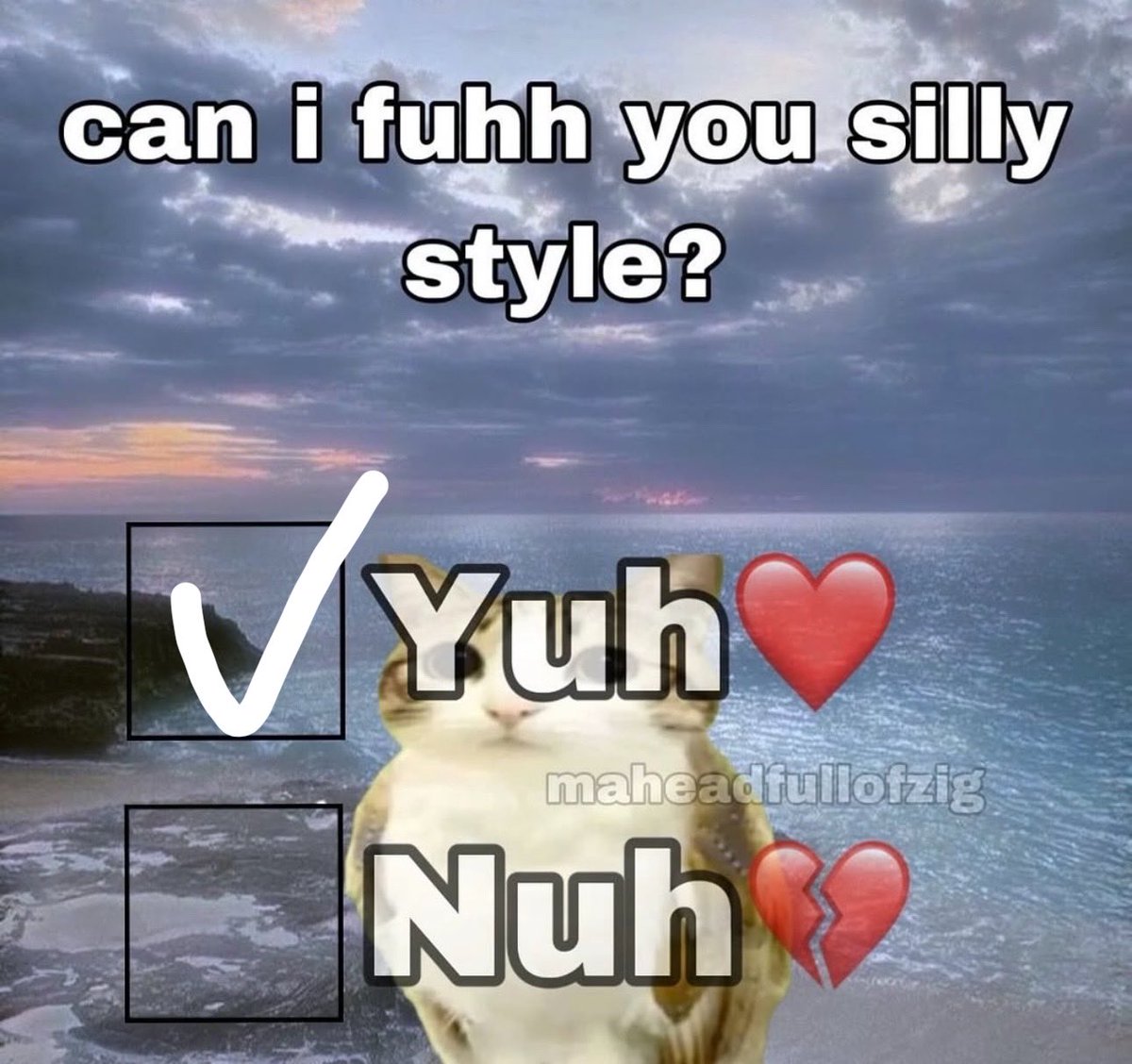 🥭mango🥭 tweet media