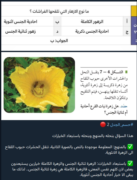 منصة يَلو التعليمية tweet media