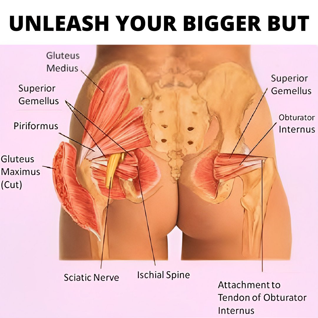WomensWithPower's tweet image. #fitness #booty #sexy #bodycontouring
#biggerhips #gluteworkout #bodygoals
#viral #results #bubblebutt #glutes
#buttworkouts #biggerbutt #getbiggerbutt
Your Butt Transformation Journey Starts Now
👉 f.mtr.cool/ypgnptwbxp 👈