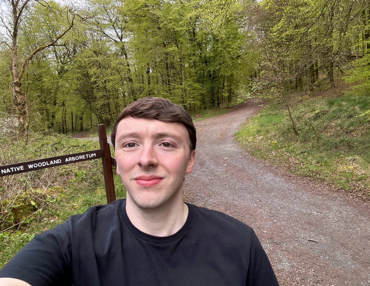 CorrCormac's tweet photo. Over in Mullaghmeen Forest this evening - right on the Meath/Westmeath border, home to the largest planted beech forest in Ireland (and apparently Europe as well) 🌳 https://t.co/ysEdBfEgro