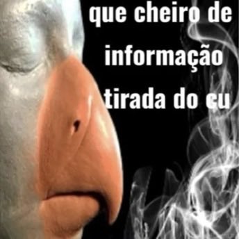 Guilherme Morais tweet media