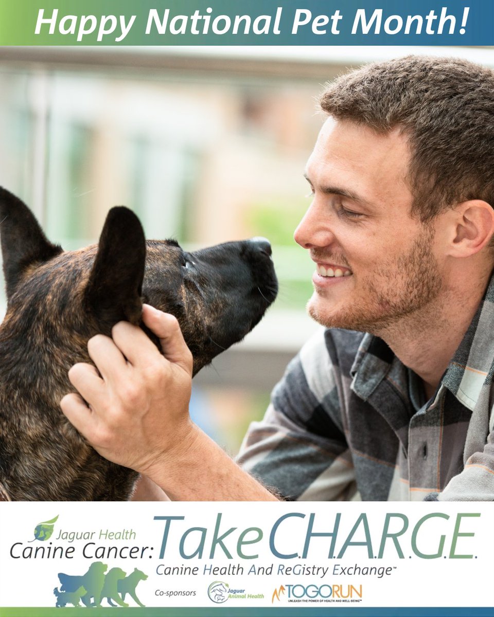 takechargereg's tweet photo. Happy #NationalPetMonth! 🎉

Join us in taking every day this month to celebrate all of the pets who inspire us to fight harder and whose impact on our lives is immeasurable. 🐶🐾

#TakeCHARGE #CelebrateYourPet https://t.co/AfEekbVi26