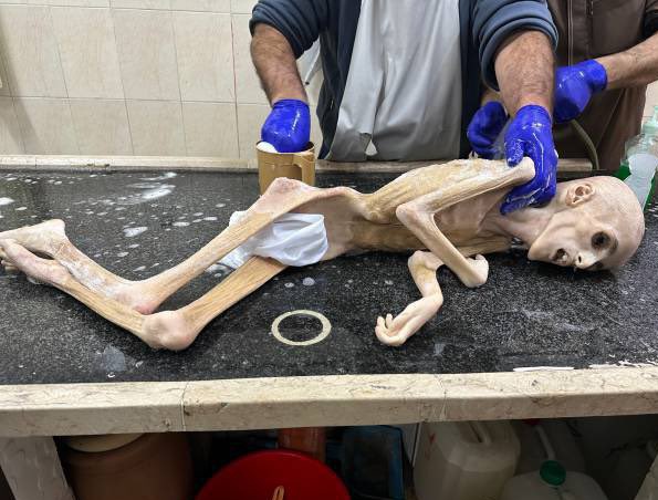 Eyes Of Gaza tweet media