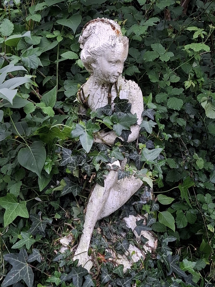 Noella5600013's tweet image. #Nature #Roses