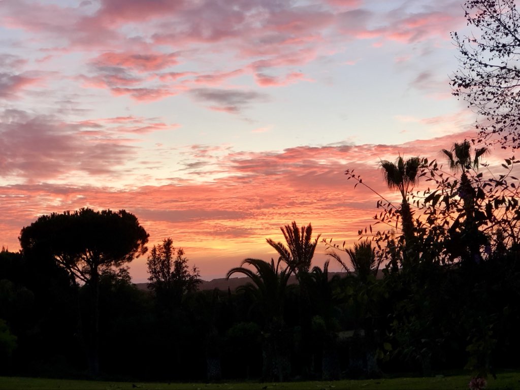 JazzReid0510's tweet image. Beautiful sunset
black tree silhouettes swaying 
pink clouds greet night sky

#haiku #poetry #poet #poem #micropoetry #writingcommunity #poetrysociety #sunset #sunsets