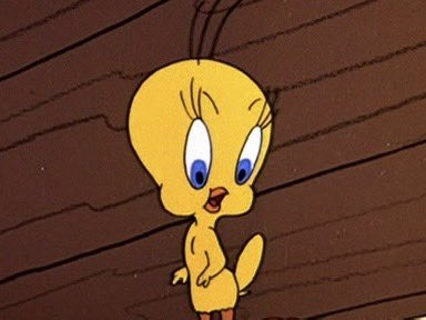 JasonSt77097165's tweet image. Your unpopular opinion(s) about Tweety Bird.