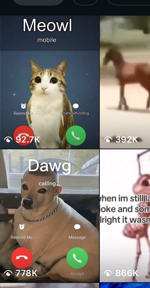 🐺🪤 tweet media