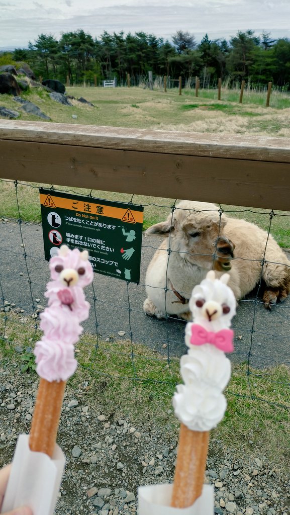 16row1's tweet photo. 筋肉痛です https://t.co/18cvOYdJhC