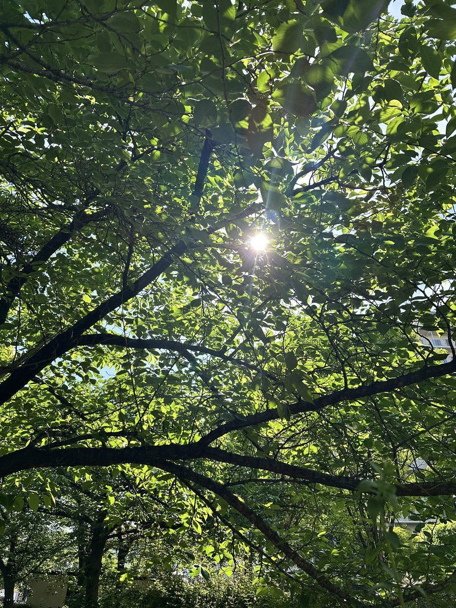 Ikeoji_Bucho's tweet image. おはようございます☀️
昨夜はスーパー銭湯♨️に行ったので、睡眠💤バッチリ👌
おかげで、今朝は6時前に目が覚めました👀
最高のお天気☀️

#goodmorning
#today
#朝活
#gw