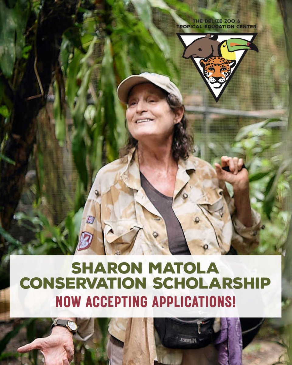 ZooBelize's tweet photo. We are now accepting applications for the 2026 Sharon Matola Conservation Scholarship!

For a full description of the award requirements and for the application form, follow the link:
https://t.co/dmYRYuAMcj https://t.co/mbyCWEhlg8