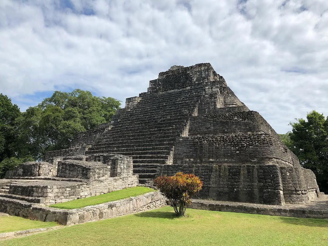 EspirituCurioso's tweet photo. Esta pirámide no está en Chichén Itzá… y aun así, miles de personas la visitan cada año.

La zona arqueológica de Chacchoben está en el sur de Quintana Roo, a unos 85 km de Chetumal, muy cerca de la laguna de Bacalar. Si vas desde Cancún, te queda prácticamente de camino rumbo a esa zona.  

Lo interesante es que, según datos del INAH, ha llegado a posicionarse como una de las 10 zonas arqueológicas más visitadas de México.

Fue una ciudad maya importante desde el 300 a.C.

Alcanzó su auge durante el periodo Clásico (alrededor del 250 d.C.)

Tiene estructuras que combinan estilos arquitectónicos como Petén, Río Bec y Chenes, algo poco común en un mismo sitio  

Y algo que muchos no saben: el nombre “Chacchoben” no es el original maya del sitio. Es el nombre del ejido actual y significa “lugar del maíz colorado”.  

A diferencia de otros sitios más saturados, aquí todavía puedes caminar entre estructuras enormes sin tanta gente, con esa sensación de estar descubriendo algo que aún pocos conocen.

Si estás en Bacalar o Chetumal, este lugar no es opcional. Es de esos que cambian por completo la idea que uno tiene de la zona.

¿Ya lo conocías o es de esos lugares que no tenías en el radar?

📸 IG: alexleeabc123