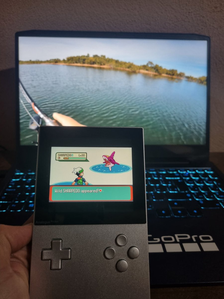 OffShinies's tweet photo. Shiny sharpedo after 32 fishing encounters on emerald, this is now my second fastest hunt ever, absolutely insane, the fishing tradition keeps on delivering  (ofc had to masterball it for the match) https://t.co/vboJ0THX0n