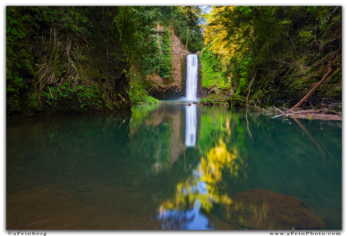 aFeinberg Photography - aFeinberg.eth tweet media