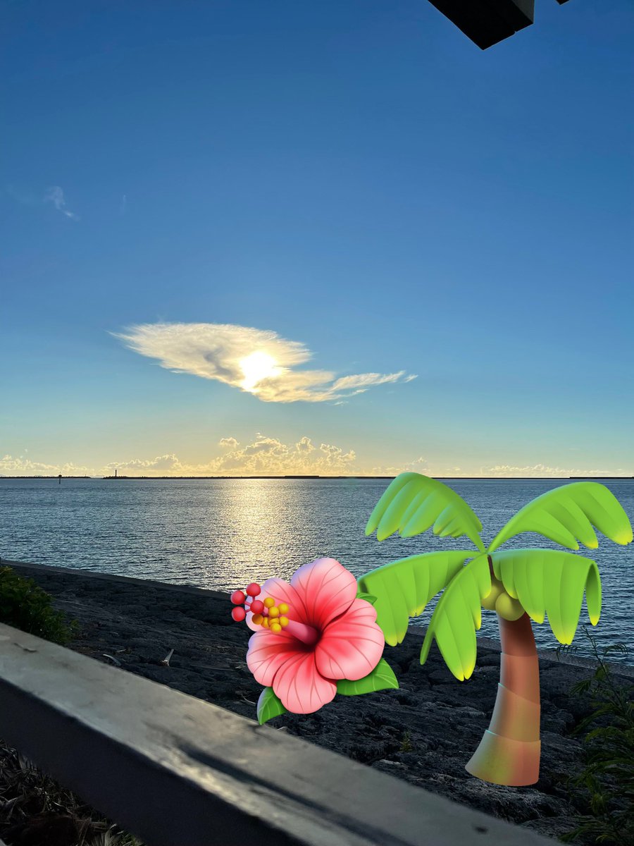 happy_y77's tweet photo. 沖縄行きたい🥹
こういうメンタルのときは、沖縄の綺麗な海見て、夕暮れみて、癒されないと〜😮‍💨 https://t.co/5raxwEtFFY
