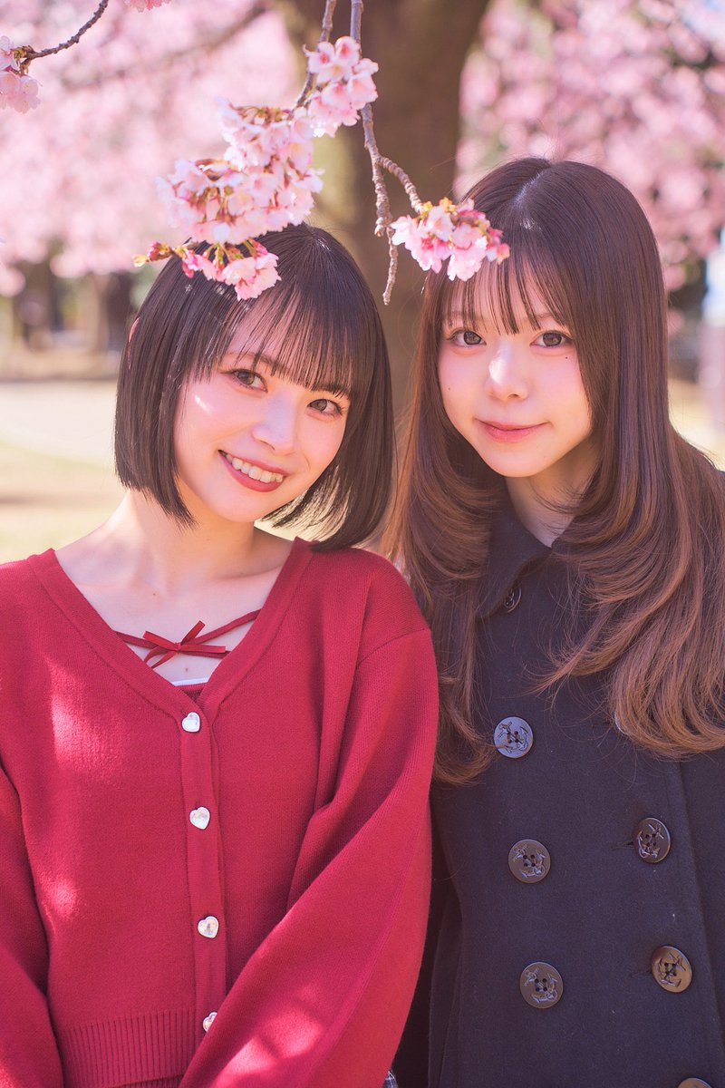 小森朱季 tweet media