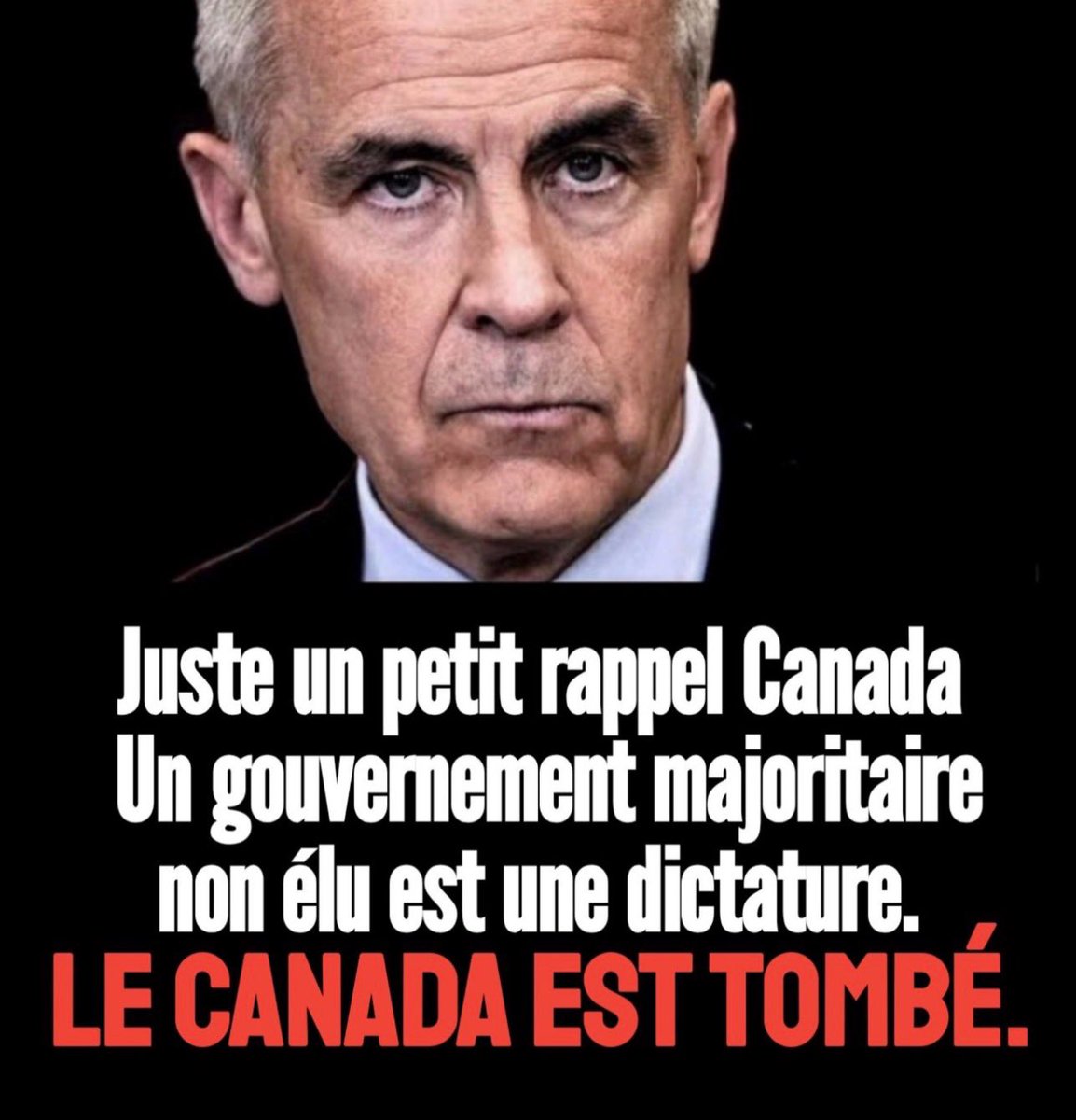 DJELLE tweet media