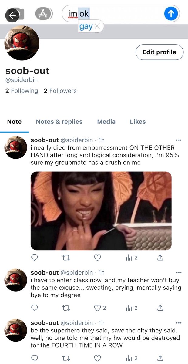 (soogyu pille)d tweet media