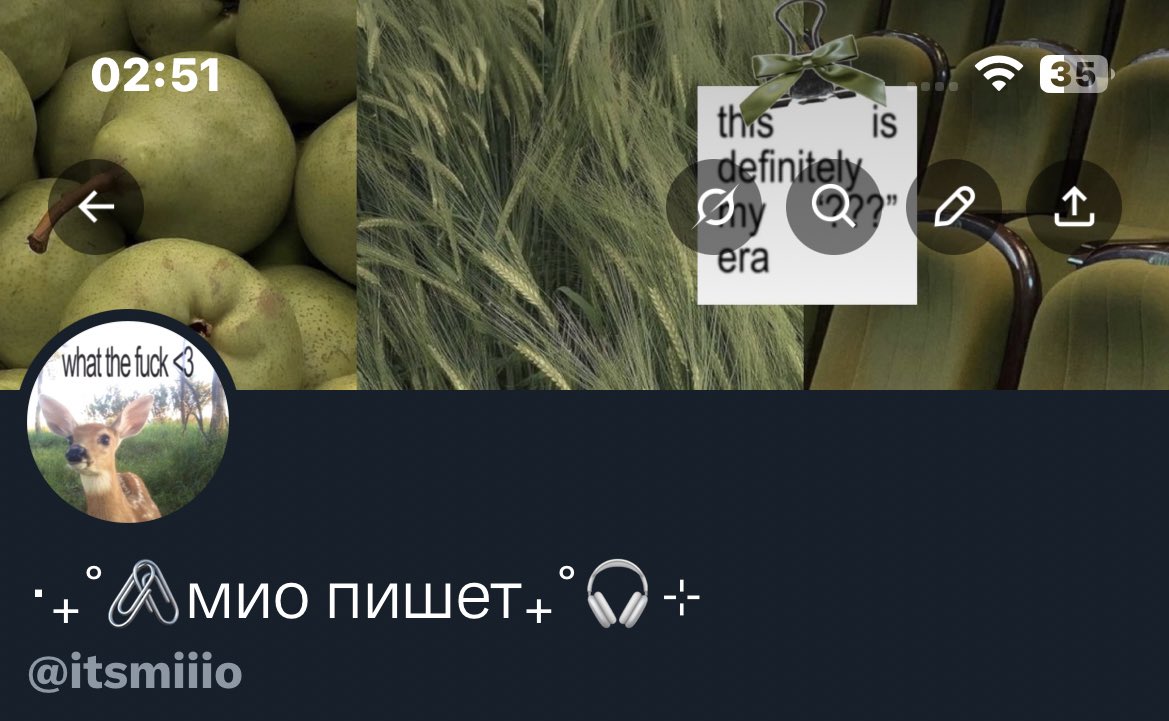 сменила оформу на подходящую к моему вайбу написания диплома
