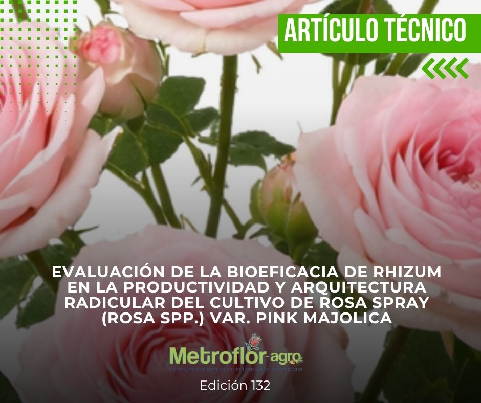 Revista Metroflor-agro tweet media