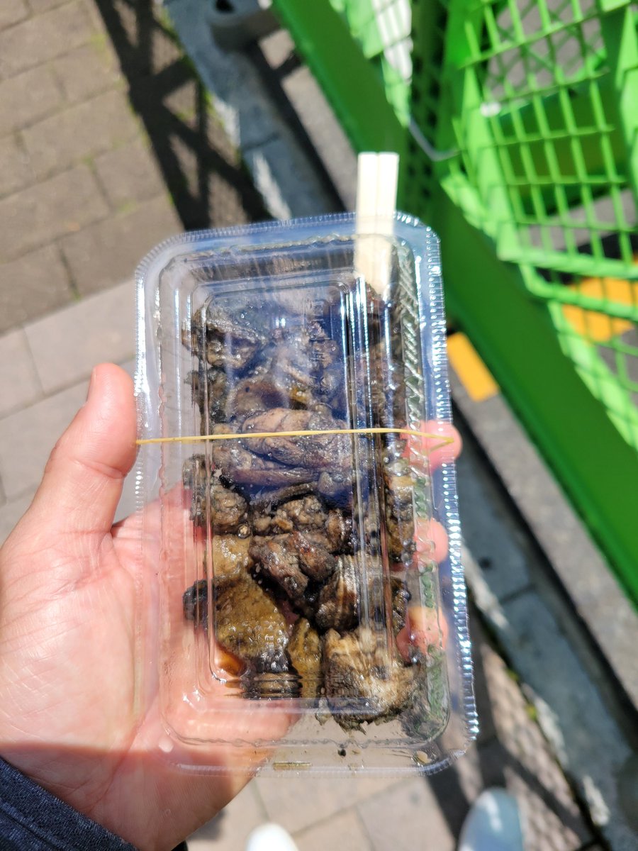 keepkazuto's tweet photo. 広島フラワーフェスティバル出店沢山出ていて迷いました https://t.co/jsqPJEgjmB