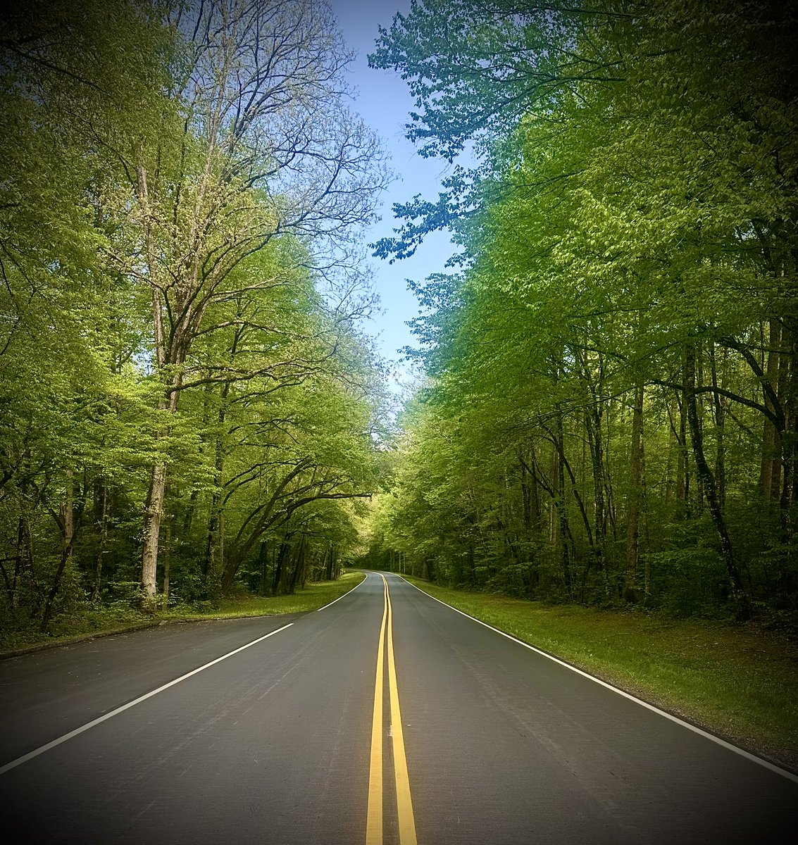 "No such thing as spare time, no such thing as free time, no such thing as down time. All you got is life time. Go."- Henry Rollins