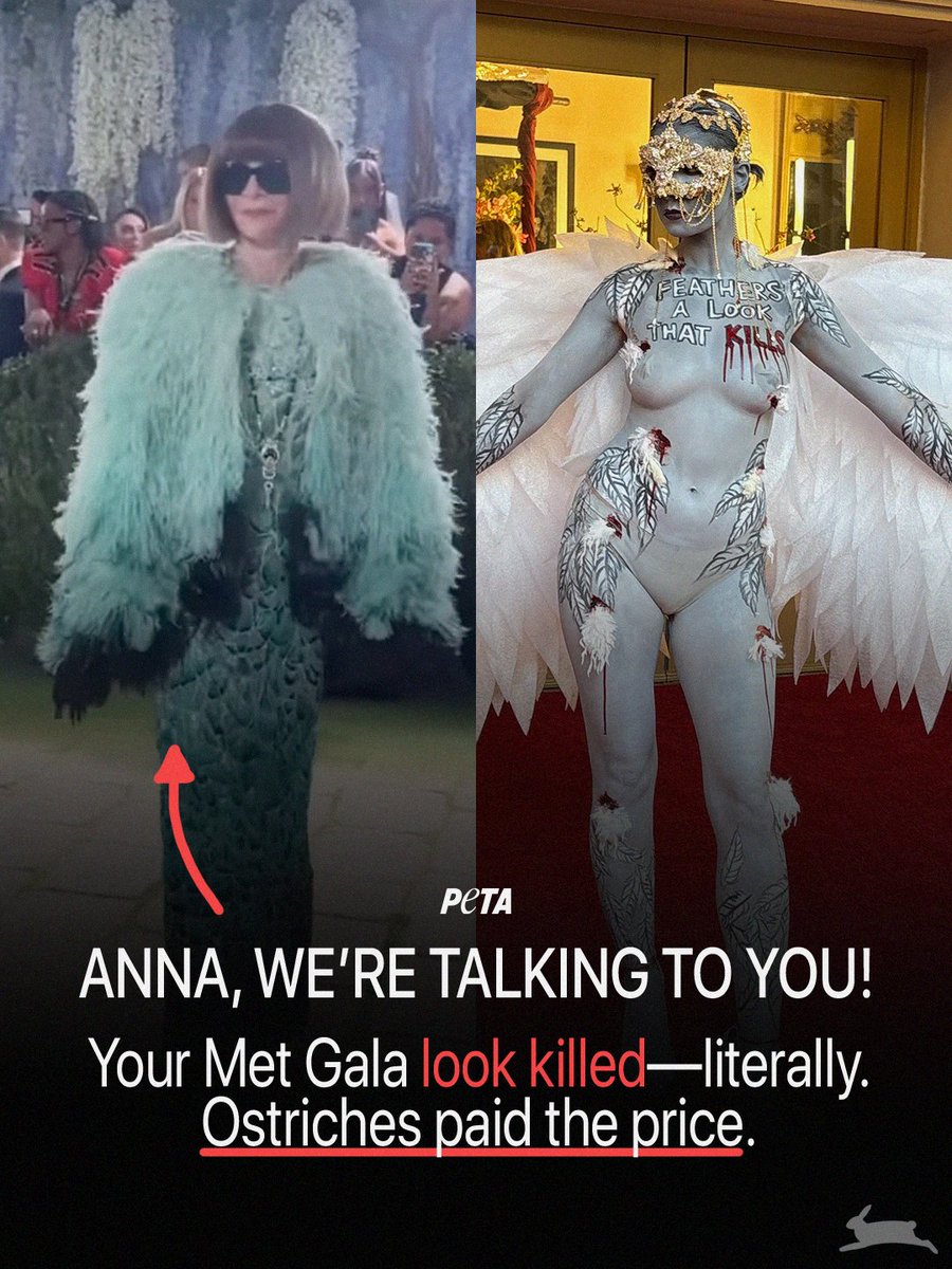 The devil wears feathers 🔥
Anna Wintour <a href="/voguemagazine/">Vogue Magazine</a>'s former editor-in-chief's dead bird look belongs in #MetGala hell.
