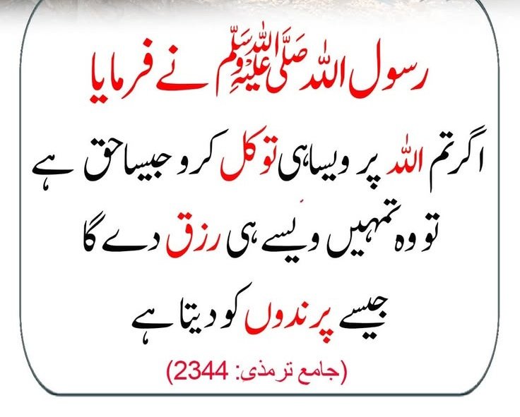 Ashiq Ali tweet media