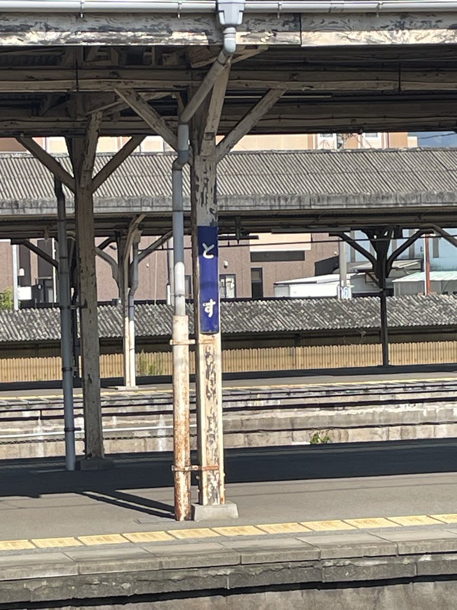 尼住 tweet media