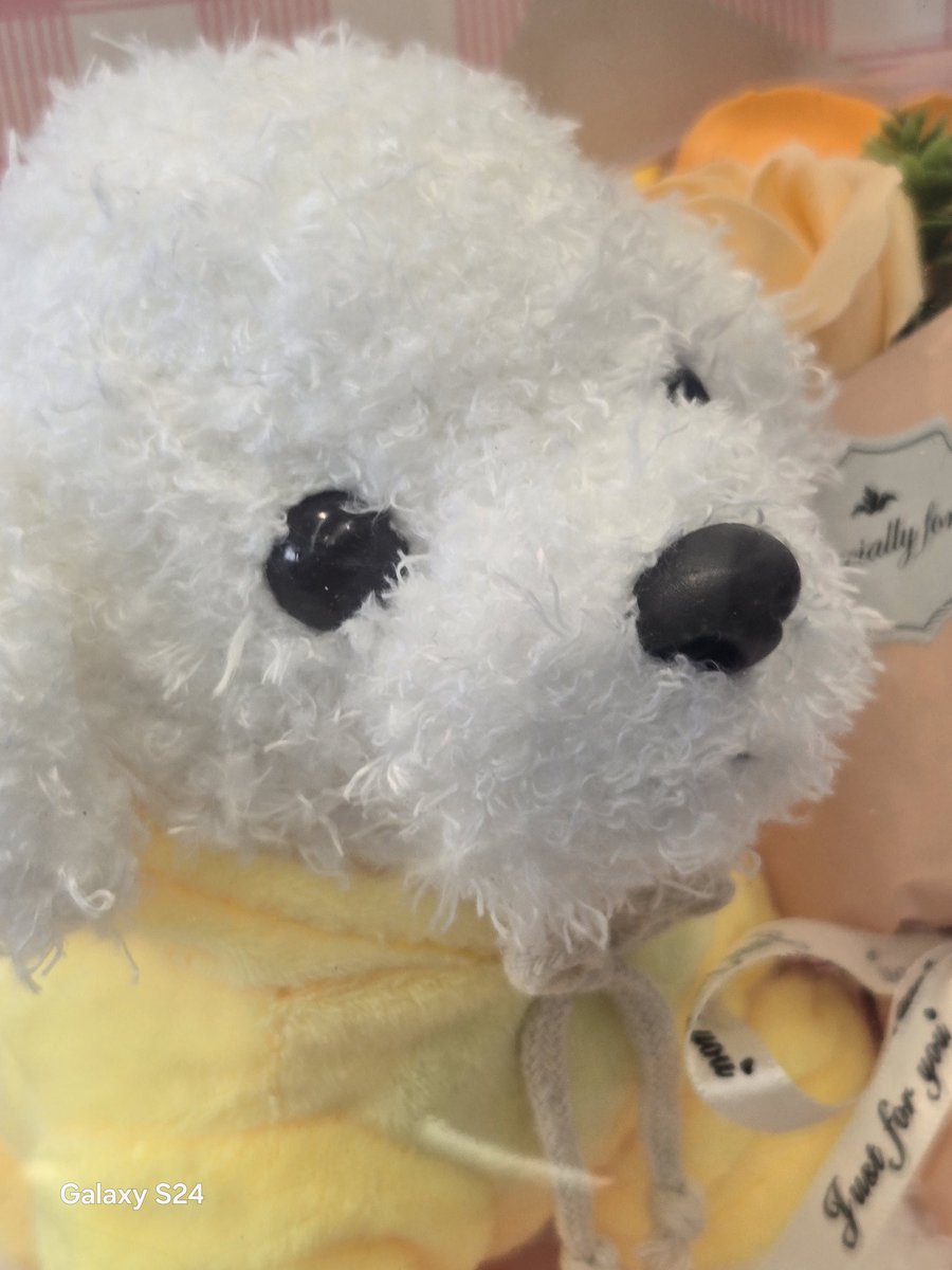 神宇心生 tweet media