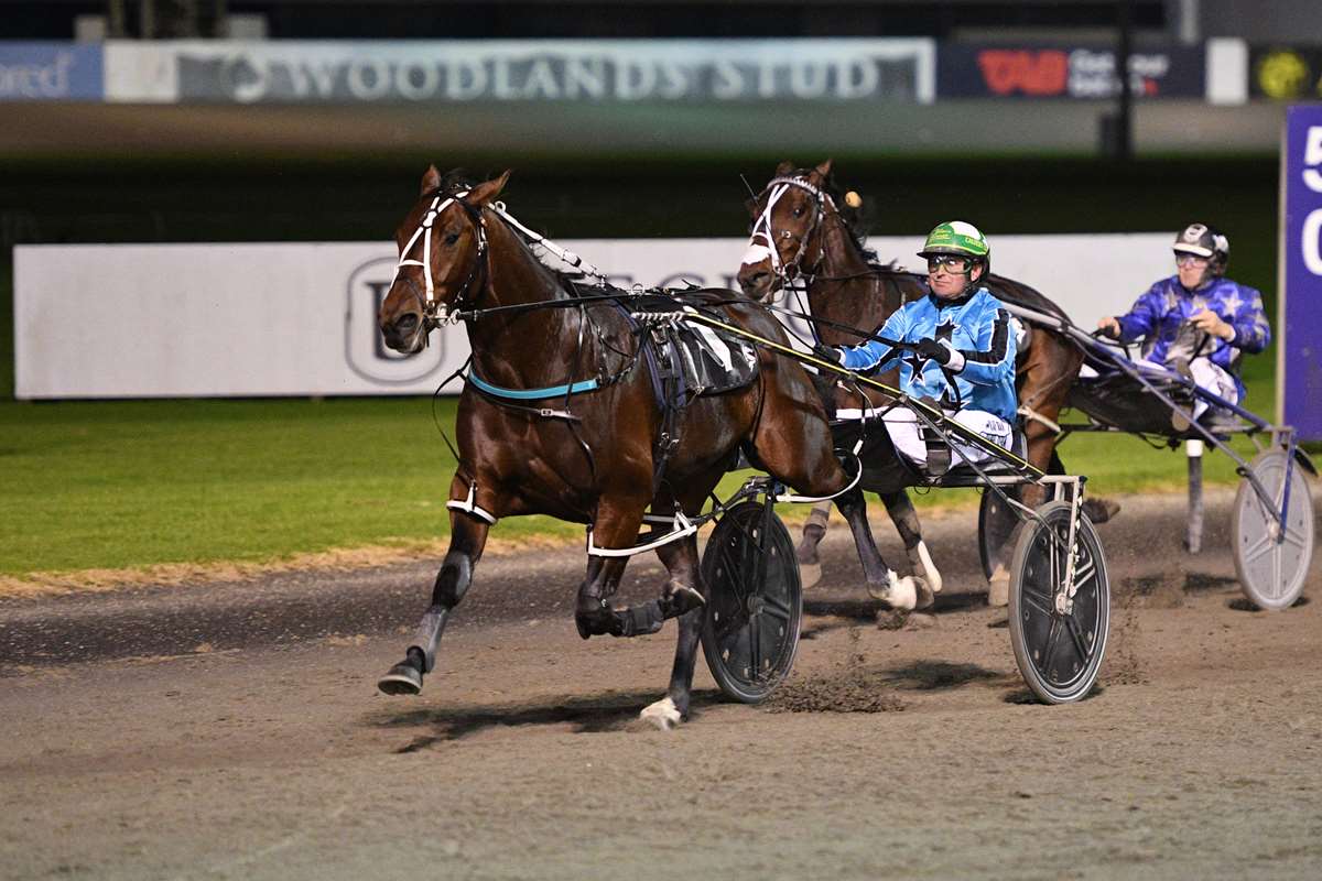 nzbstandardbred's tweet photo. Jumal Stamps His Authority In Northern Derby 🏆

Gun three-year-old #Jumal (NZ) (Downbytheseaside) bounced back to winning form at @AlexandraPark last Friday night when taking out the Group One @WoodlandsStudNZ Northern Derby (2700m).🥂

“To run that hard early over 2700m and keep ticking along, and kick away on the Telfer runner (Allamericanplayer), who has enjoyed a lovely trip (was great). Full credit to the horse, he is a pretty special animal.”

Bred by Dave Kennedy, Jumal was offered through his Beaudiene Breeding 2024 NZB Standardbred National Yearling Sale draft where he was purchased by Reid for $95,000.

Jumal has now won 10 and placed in two of his 12 starts to date, and has earned more than $477,000 in prizemoney.💰

Read more here📰: https://t.co/mRqhSN6Uf7

#WhereWinningBegins✨