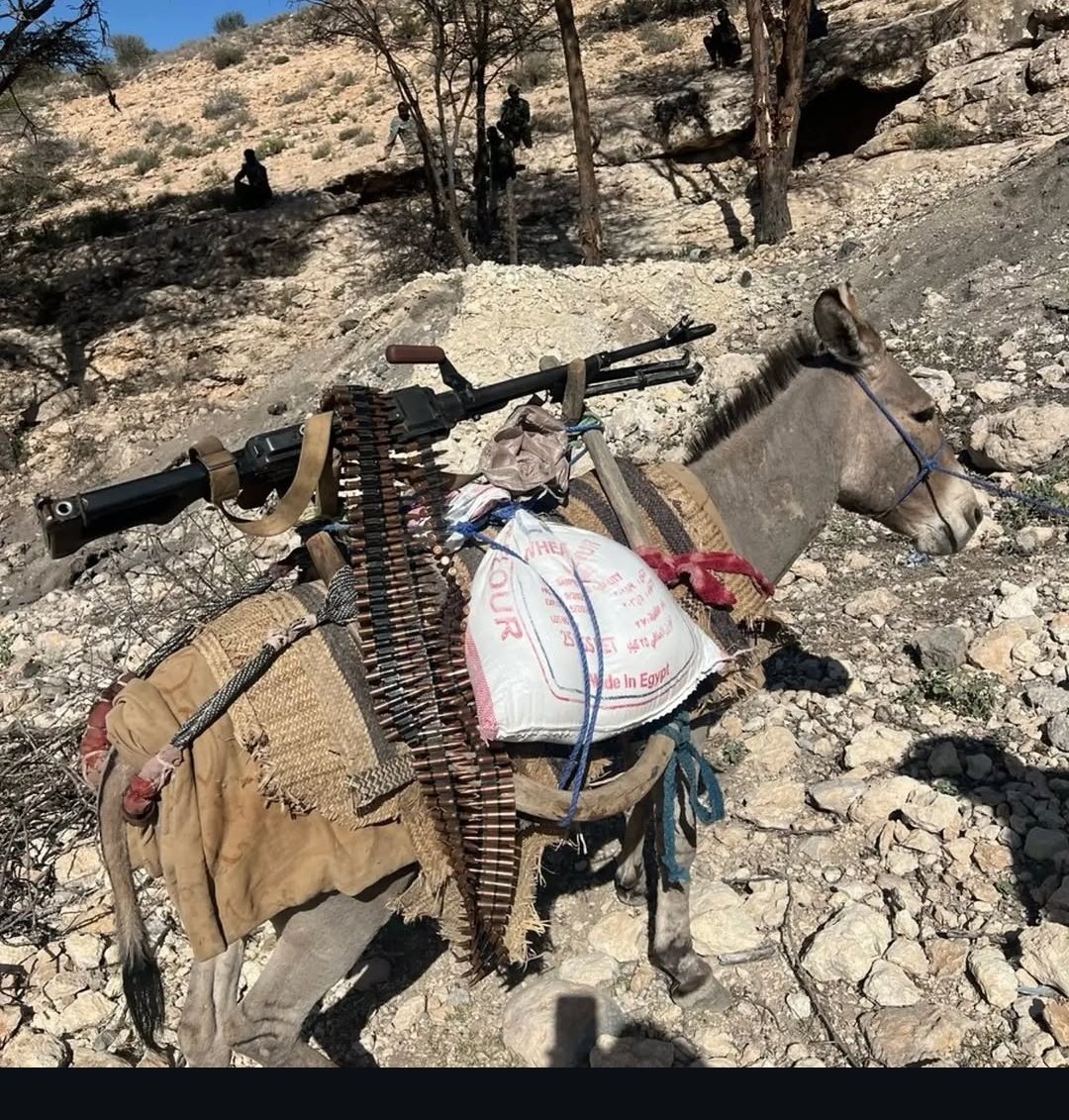 Gun Lovers Club tweet media