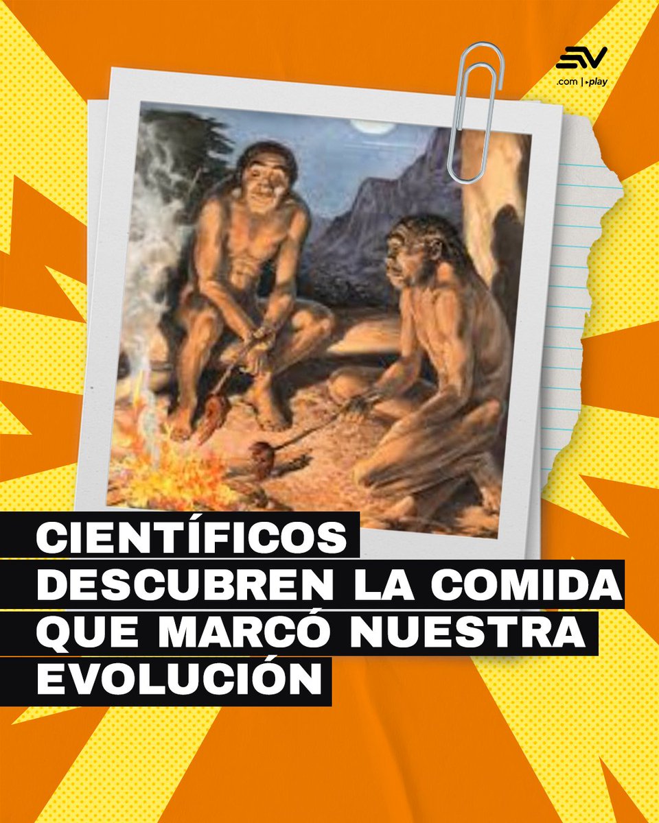 Ecuavisa tweet media