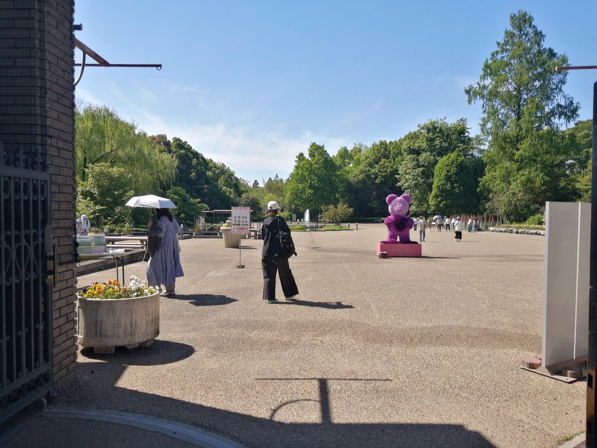 Post by Daisuke Yabe on X: 植物園