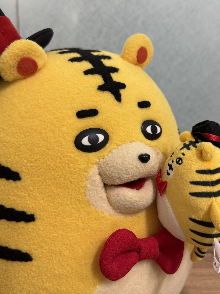 たいがさん (@Mr_taiga_san) / Posts / X